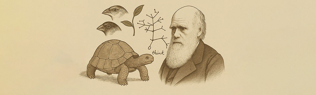 Sepia-toned scientific illustration featuring Charles Darwin's portrait on the right, with detailed ink drawings of a Galápagos tortoise, two finch heads, a leafy branch, and Darwin’s Tree of Life sketch labeled 'think' on the left, all set against a text