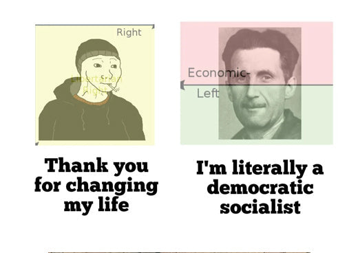 MOFA Is the New MAGA: George Orwell’s Political Views and the Political Compass
