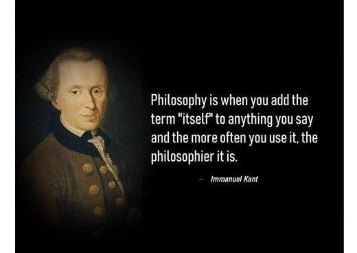 Kant understand the thing-in-itself?