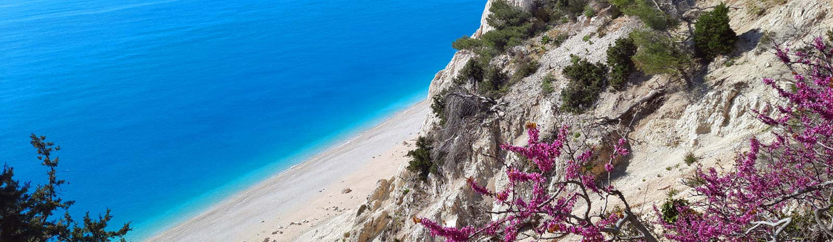 Turquoise sea and white cliffs at a beach on Lefkada, Greece, with pink flowering shrubs in the foreground.