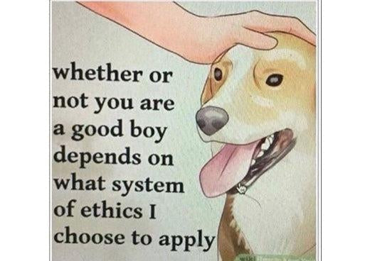 Ethics meme: a hand pets a happy dog, captioned “whether or not you are a good boy depends on what system of ethics I choose to apply”