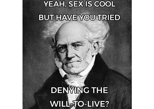 Schopenhauer and Hinduism: on the fast track to 'Moksha'