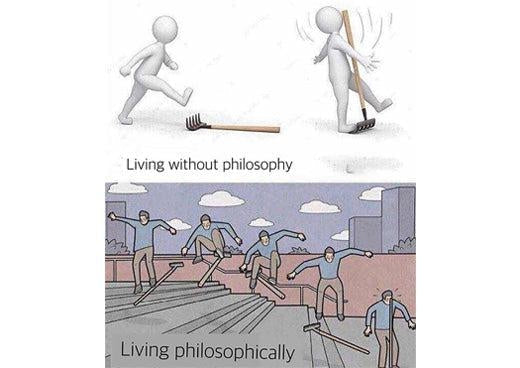 Vita activa versus vita contemplativa