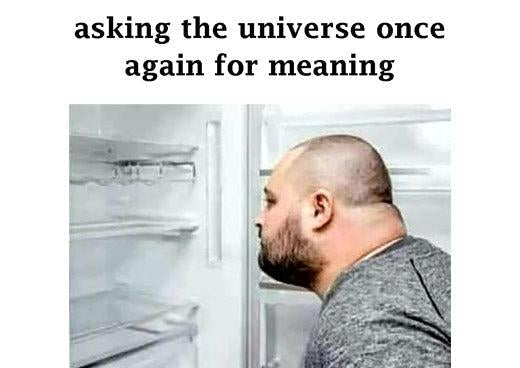 What is the meaning behind the search for meaning?