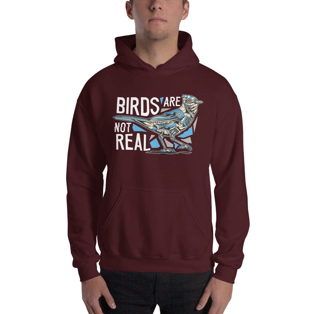 Birds are not real - Hoodie