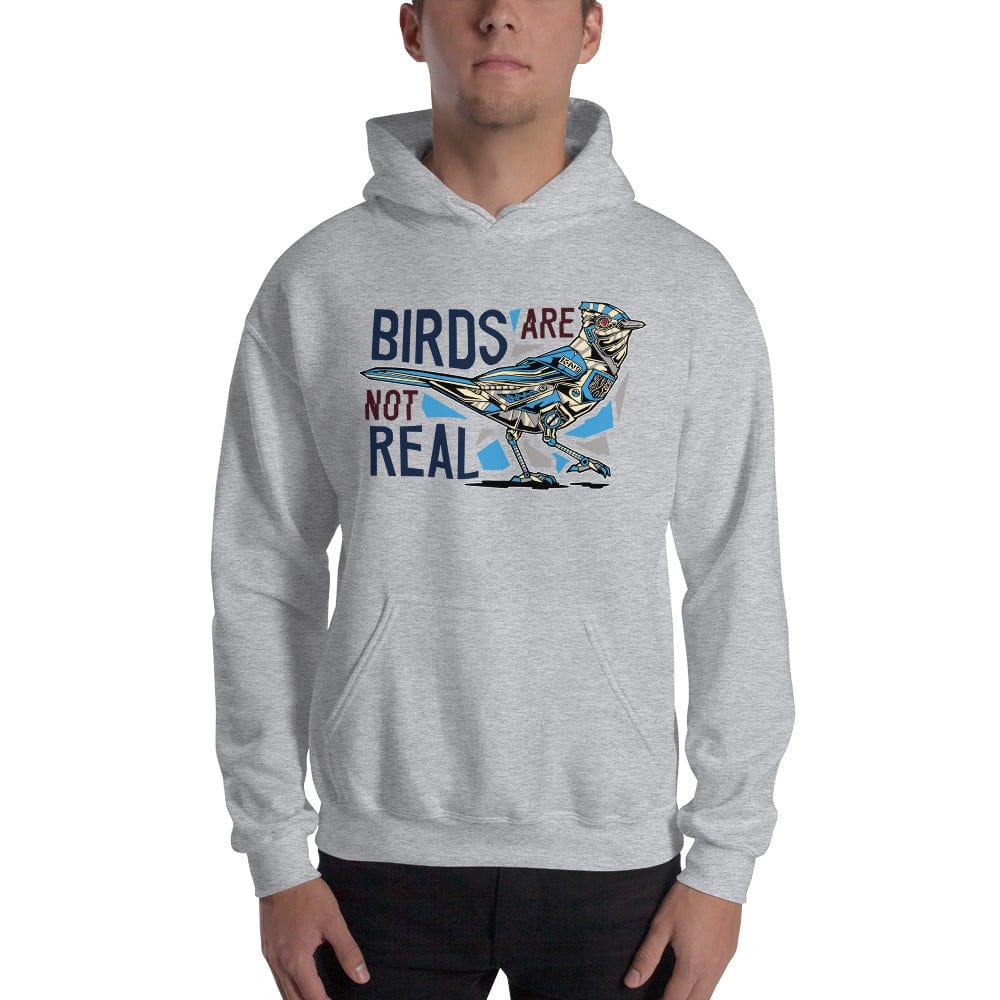 Birds are not real - Hoodie