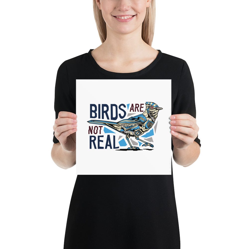 Birds are not real - Poster
