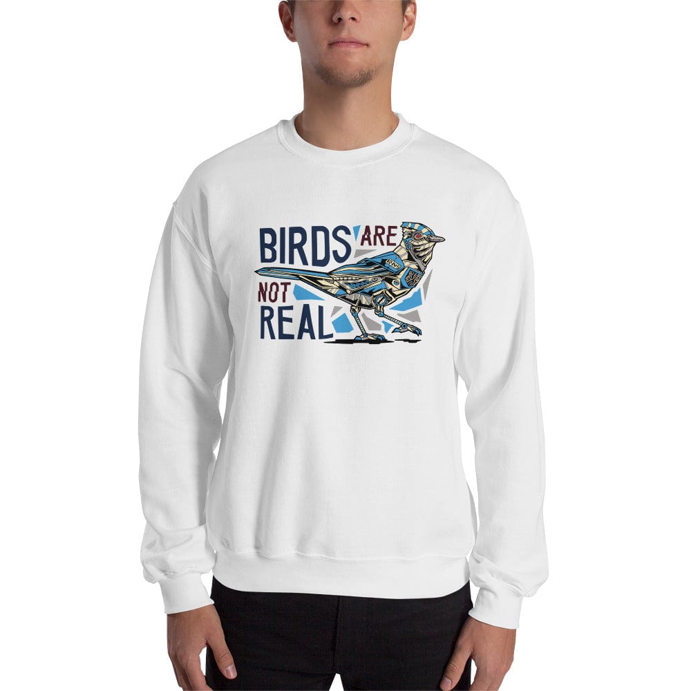Birds are not real - Sweatshirt