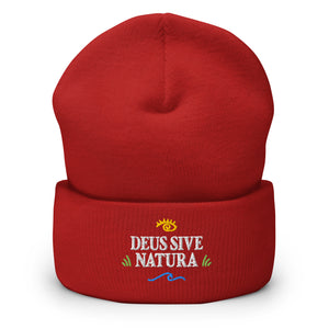 Deus Sive Natura - Embroidered - Beanie