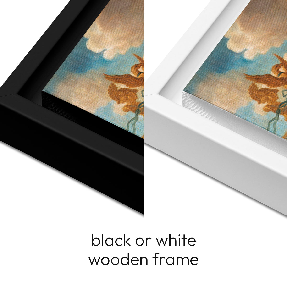 Alexander and Diogenes - Framed Canvas - The Philosopher's Shirt