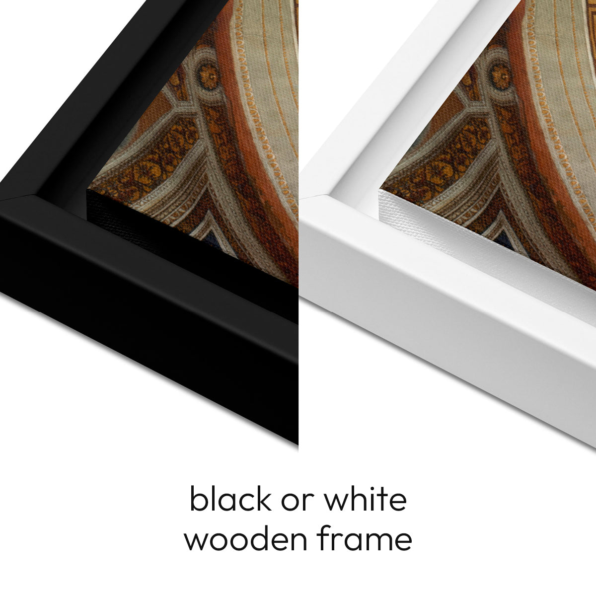 School of Athens - Framed Canvas - The Philosopher's Shirt