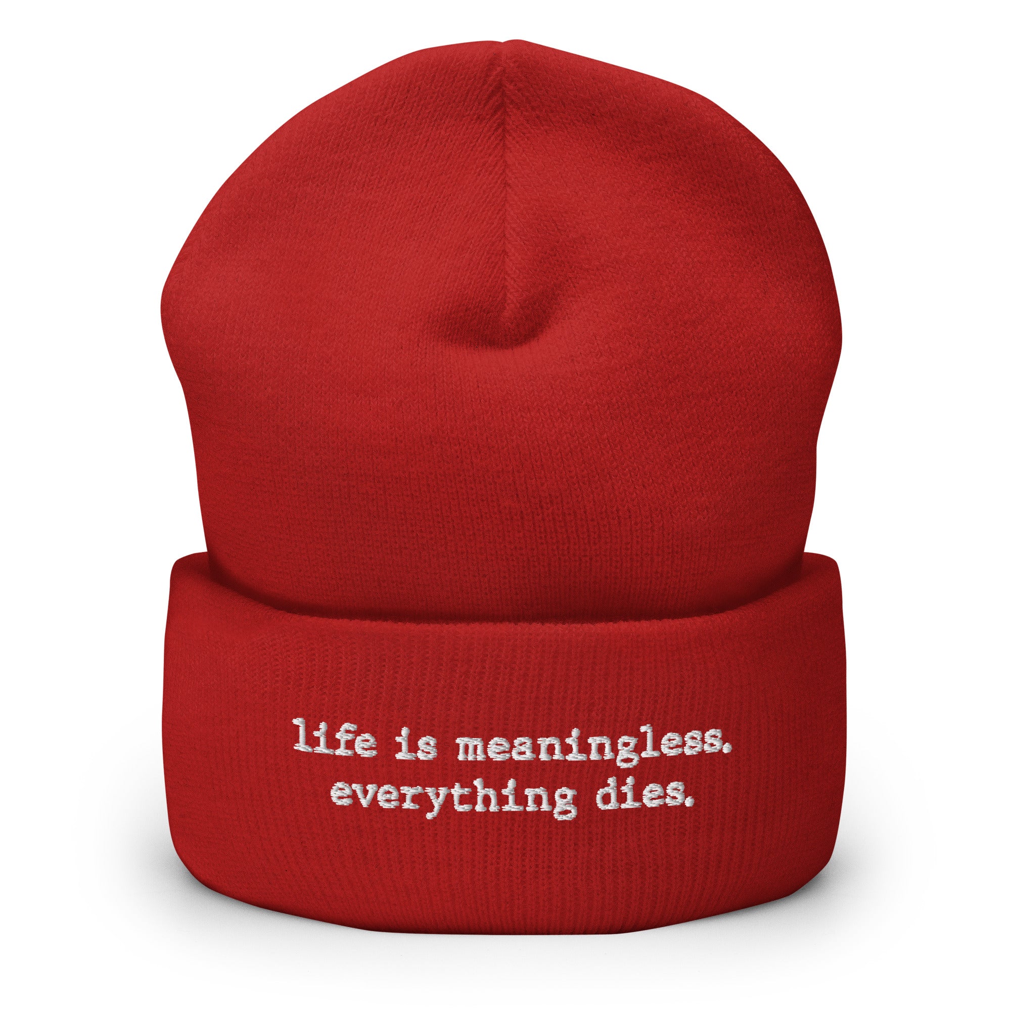 Life is meaningless, Everything dies - Beanie - The Philosopher's Shirt