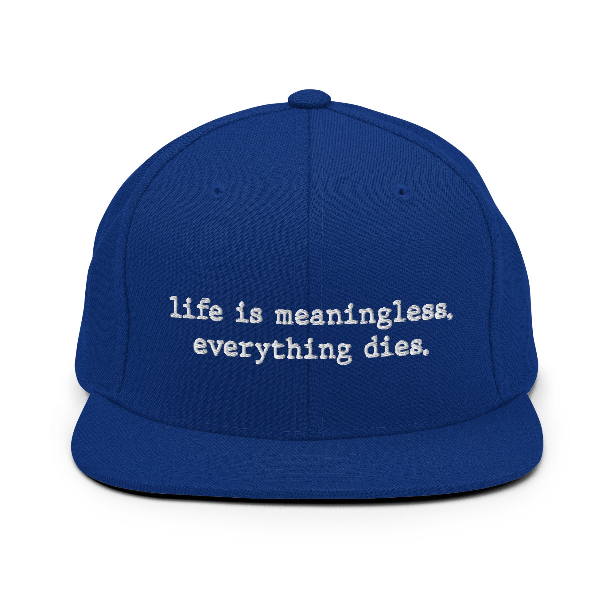Life is meaningless, Everything dies - Snapback Hat - The Philosopher's Shirt