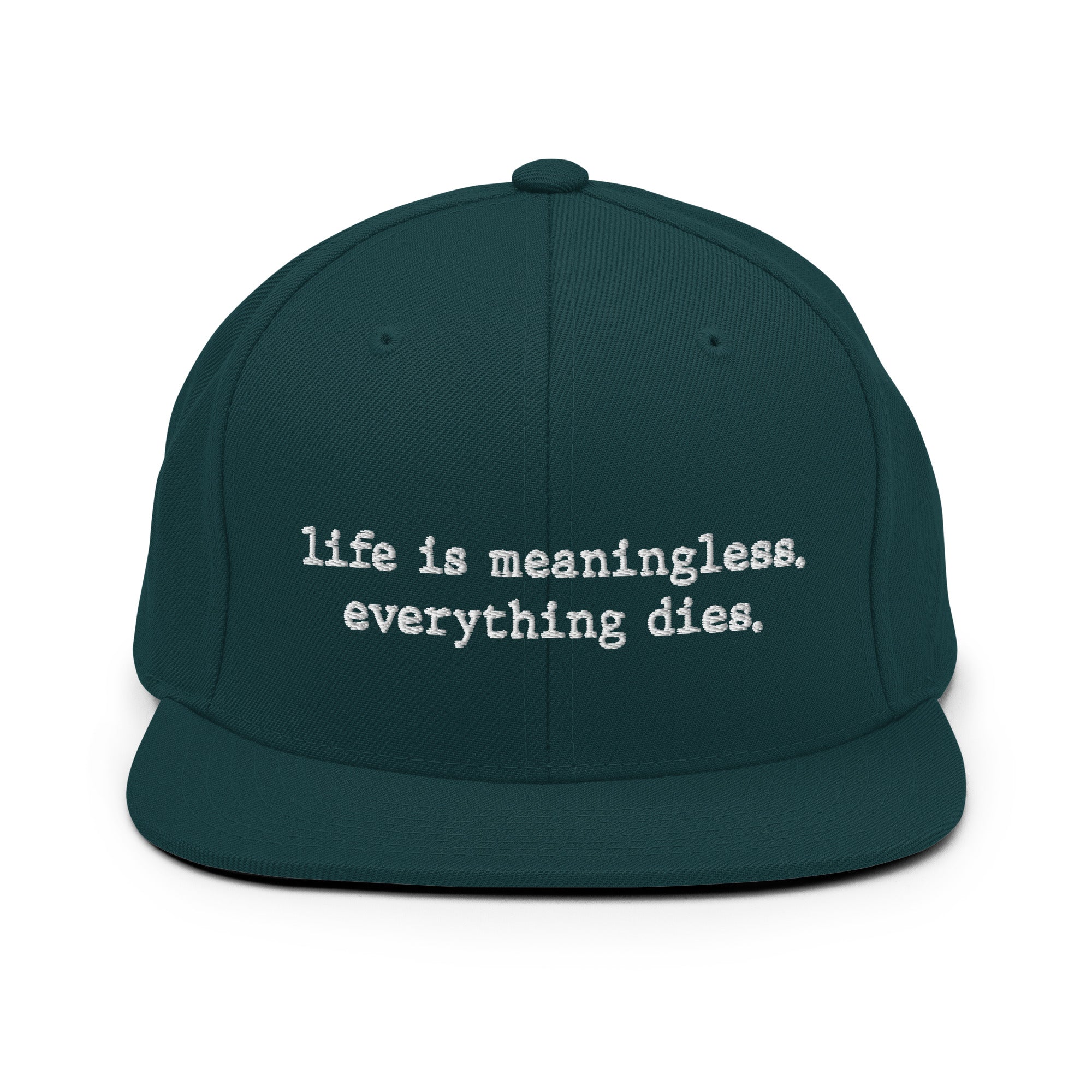 Life is meaningless, Everything dies - Snapback Hat - The Philosopher's Shirt