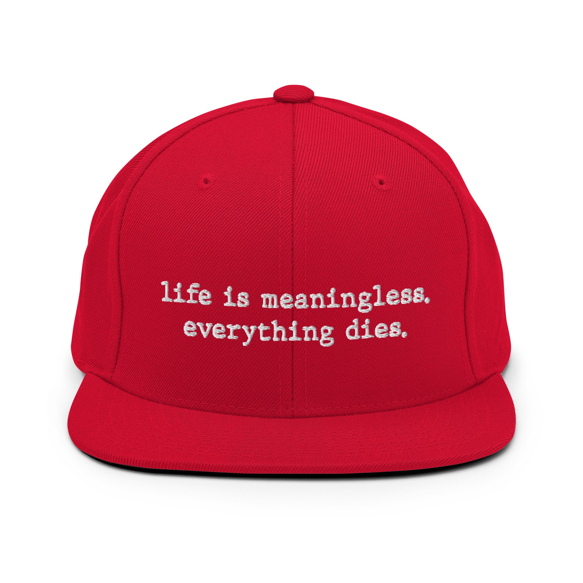 Life is meaningless, Everything dies - Snapback Hat - The Philosopher's Shirt