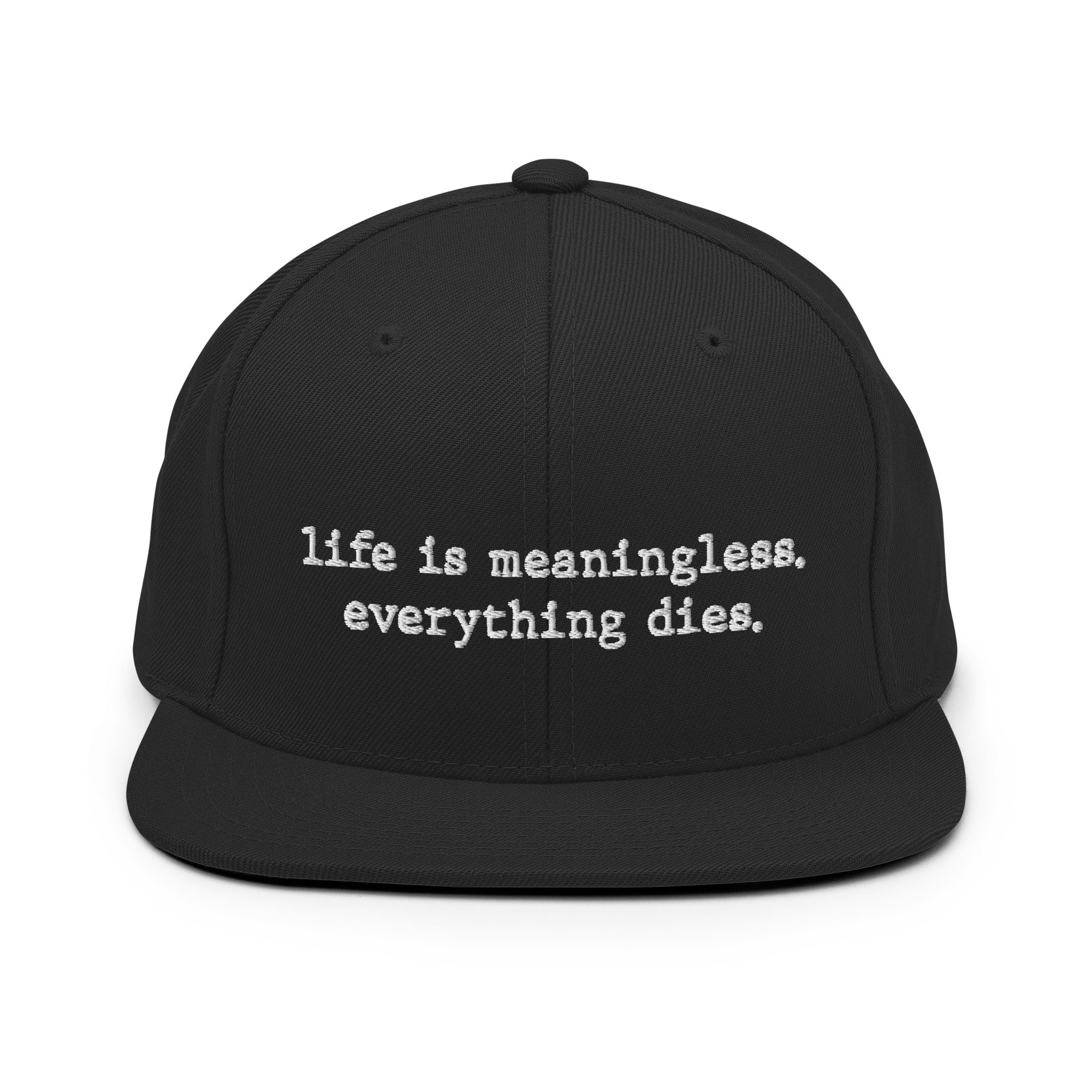 Life is meaningless, Everything dies - Snapback Hat - The Philosopher's Shirt